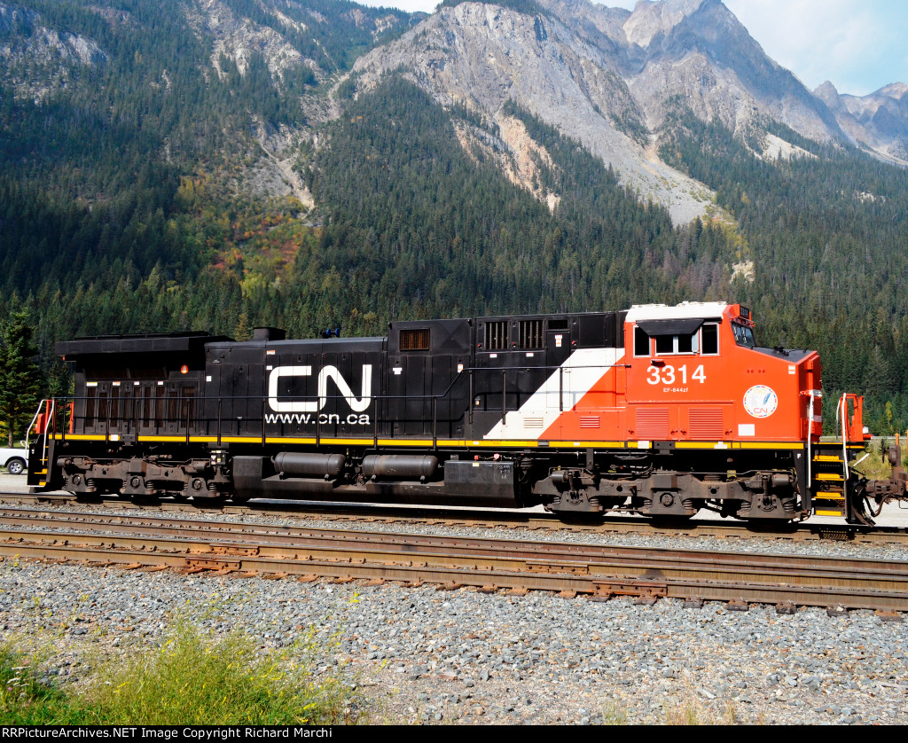 CN 3314